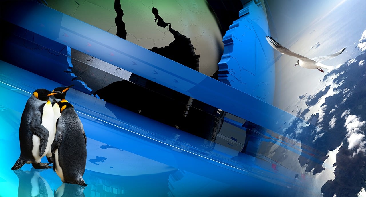 探索最新動漫世界,3535的魅力