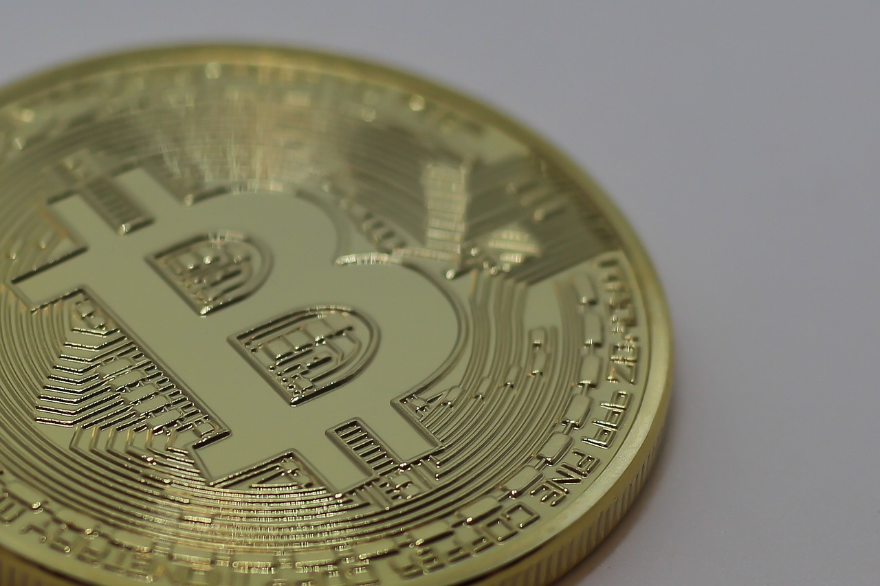 最新羔羊價格動態分析與趨勢預測
