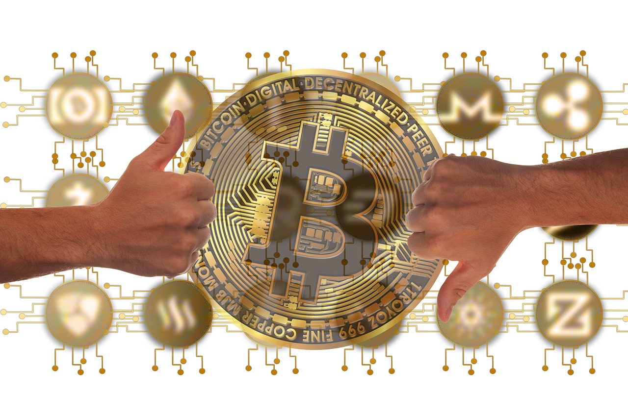 最新油渣價格動態,行業影響及價格走勢分析