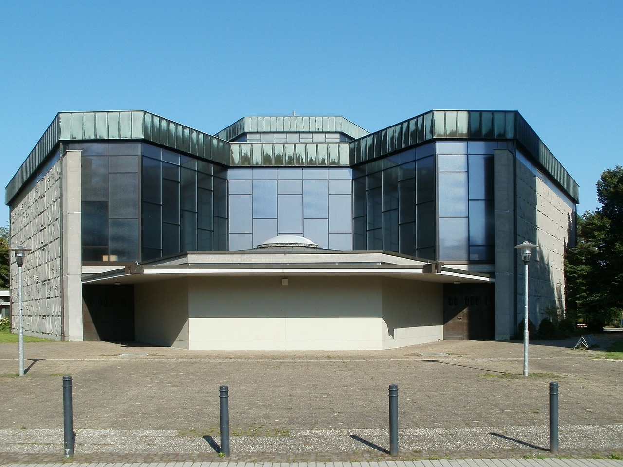 黃苓最新價格及市場動態分析,洞悉市場趨勢與行業洞察