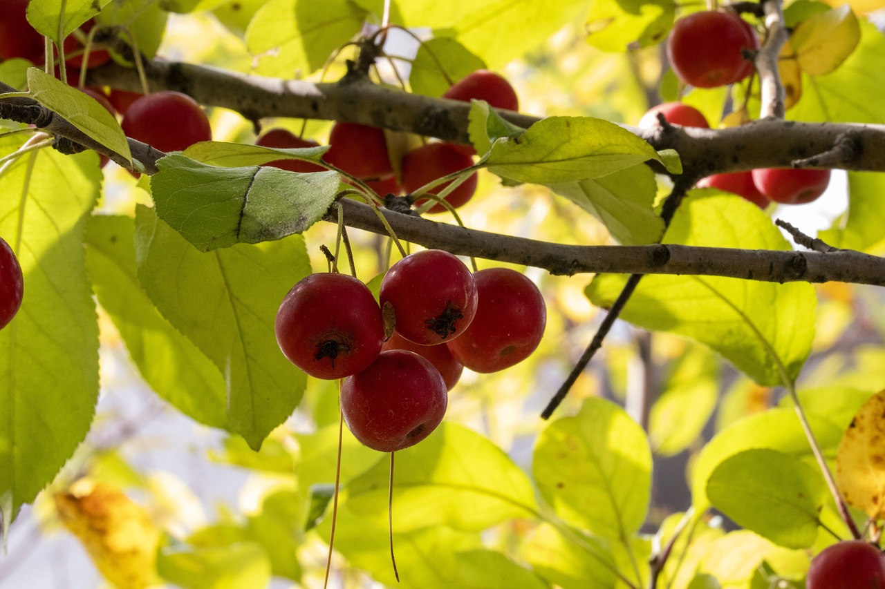 汝城最新新聞動態速遞