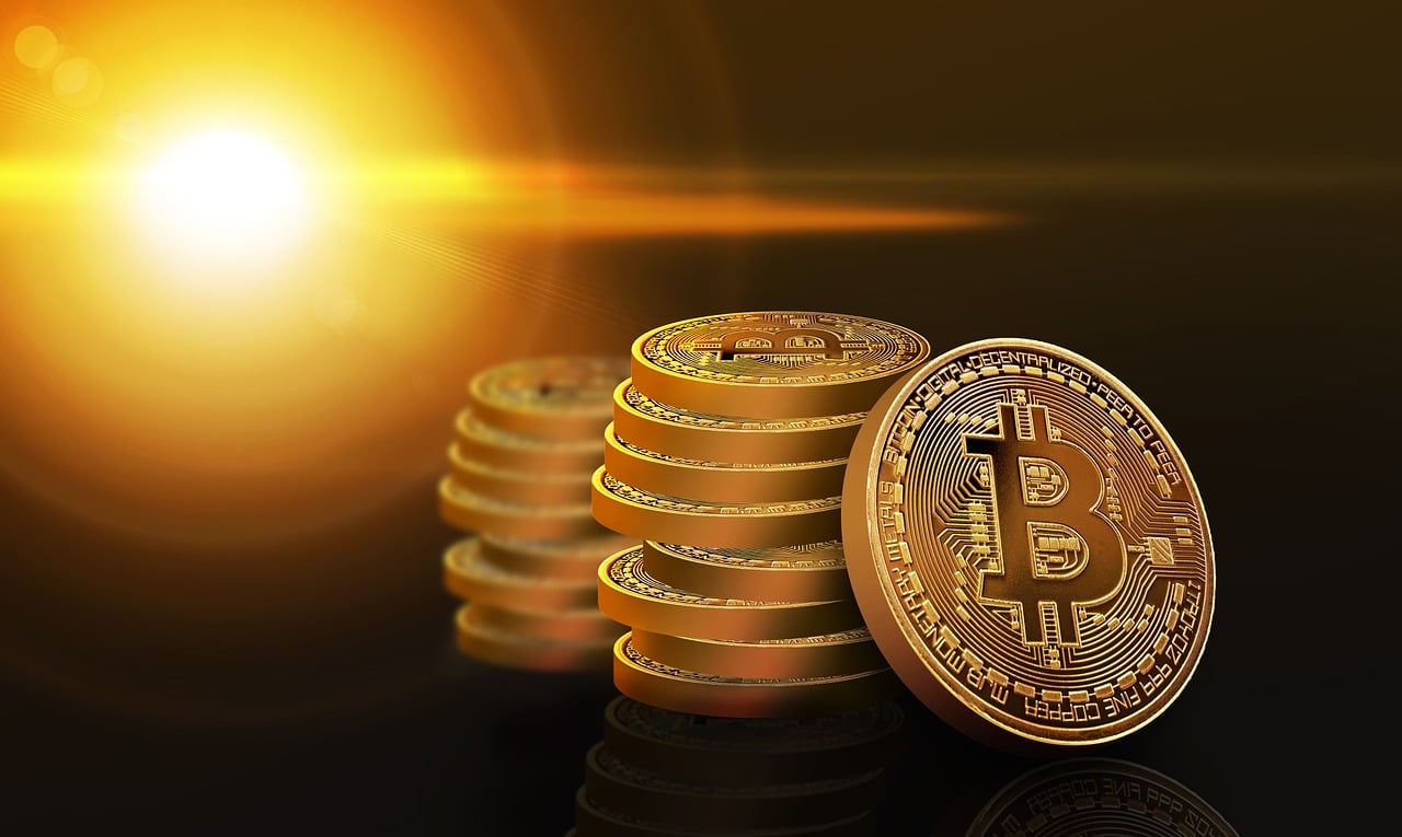 忘仙答題最新答案解析與探討,揭秘最新答案及探討交流