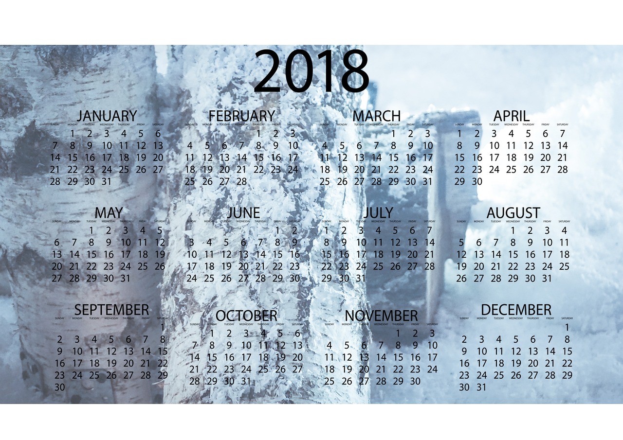 廣州疫情最新消息更新(XXXX年XX月XX日)